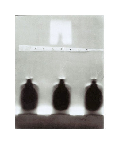 Seven Flies susan dunkerley gelatin silver print photography
