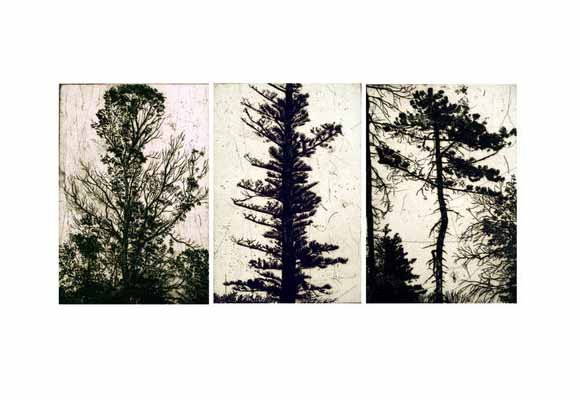 Tree Triptych