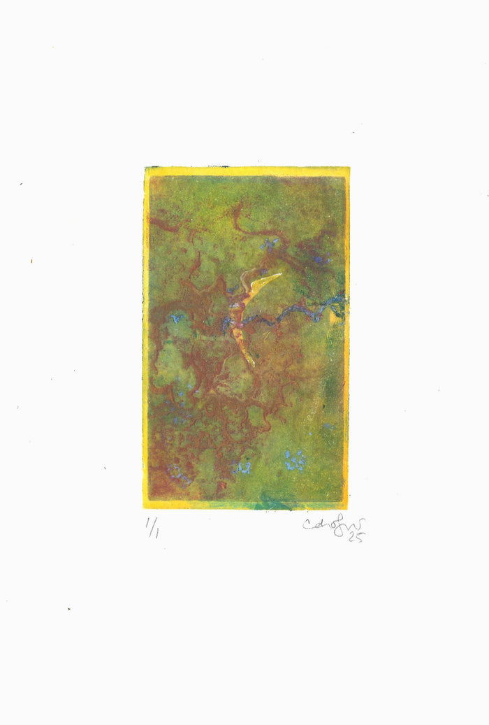 Untitled (Color)