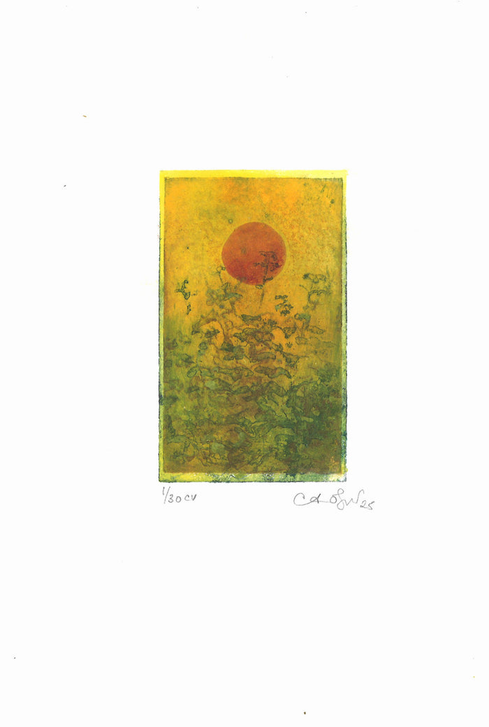 Untitled (Color)