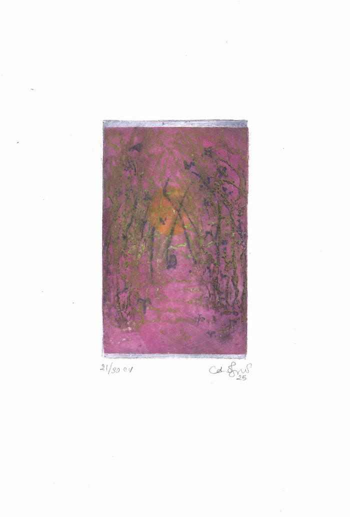 Untitled (Color)