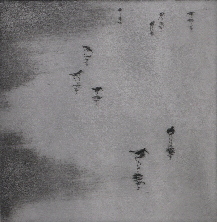 Beach Birds