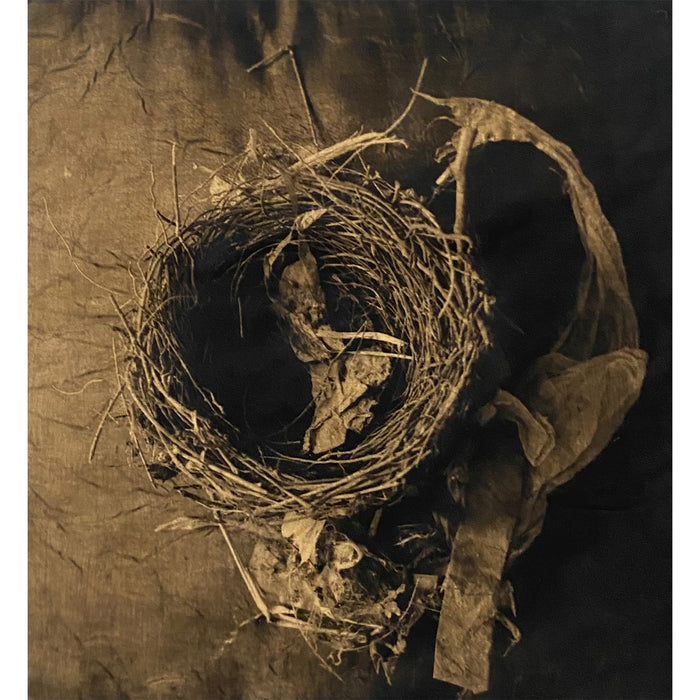 Laurie Beck Peterson