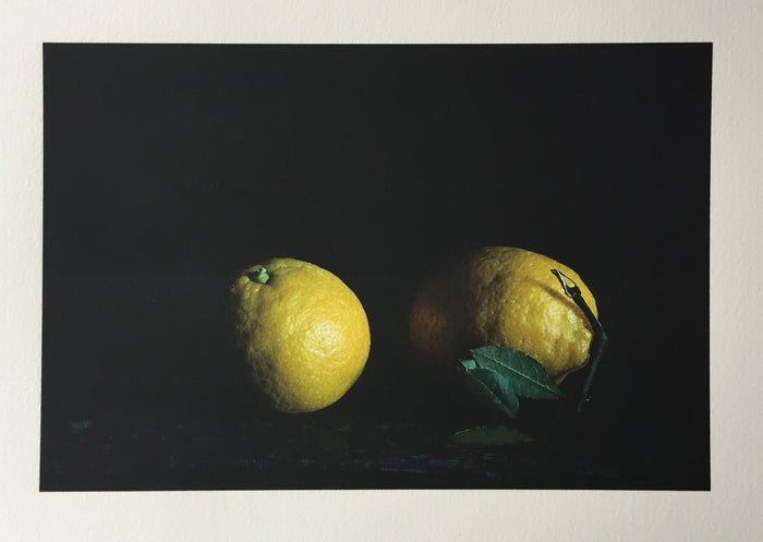 Two Lemons (Homage to Napoletano)