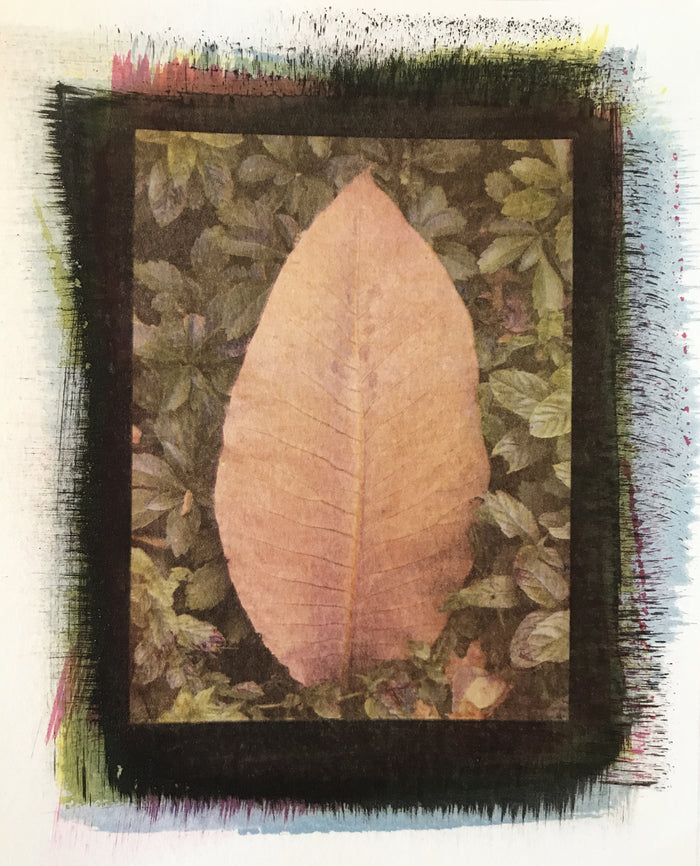 Coded Leaf