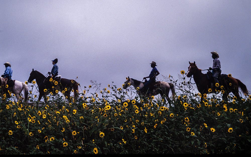 The Long Ride Home: Black Cowboys in America