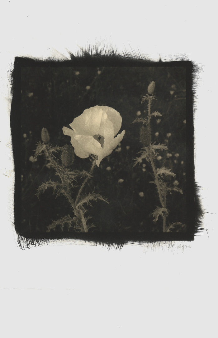 Thorny Flower