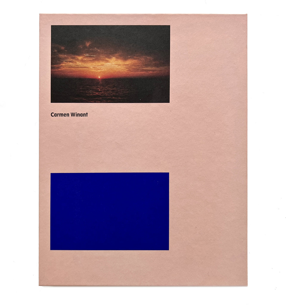 Carmen Winant, A Brand New End: Survival and Its Pictures