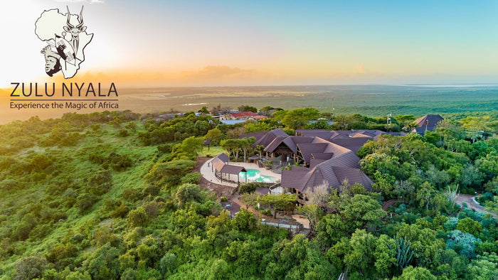 Zulu Nyala – South Africa Photo Safari