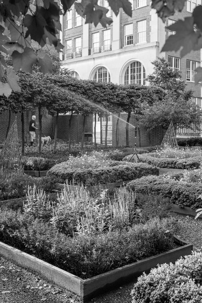 18th Century Garden, along Walnut Street Philadelphia James Abbott Inkjet Print Black and White Photography The Print Center Garden