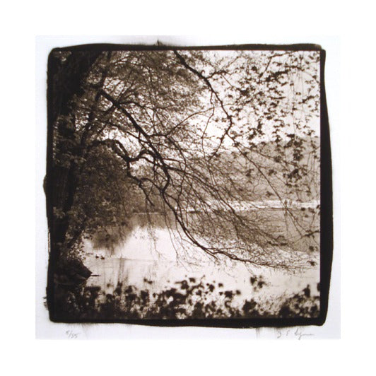Early Spring platinum palladium print James Syme The print center made in philadelphia landscapes photography 