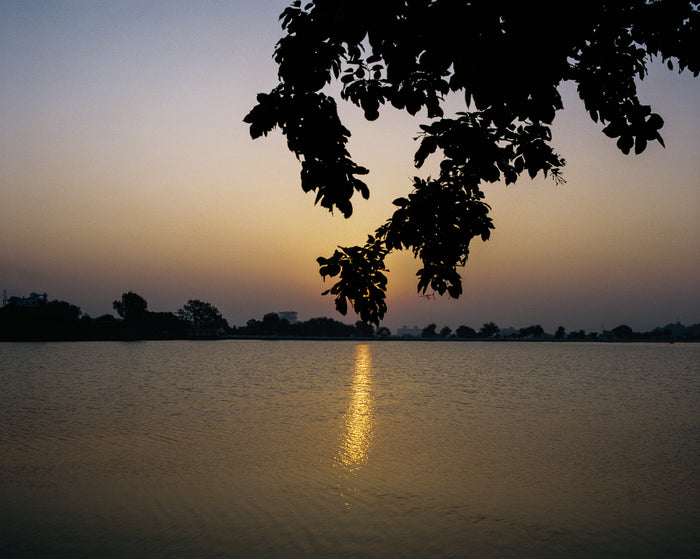 "Khatum" by Saleem Ahmed. An inkjet print depicting a leafy branch obscuring the sun set over a lake. Landscape, nature, Color Photography, Trees, Water, Sunset. The Print Center