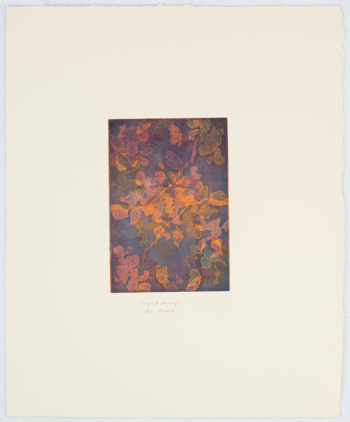 Light Through the Leaves Anna Jeretic Etching the print center color abstraction purple orange green pink fall nature 