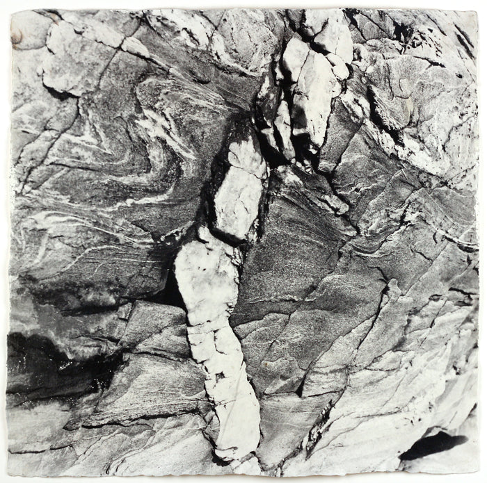 "White Vein" By Susan Abrams. A Selenium toned silver print on artist made paper. Black and White, Photograph, Nature, Close-up, Wood Grain. The Print Center