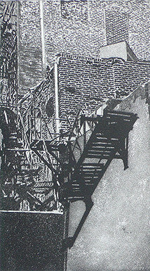 Fire Escape Kevin Cummins Intaglio Made in Philadelphia the print center black and white city life fire escape nature and buildings brick wall