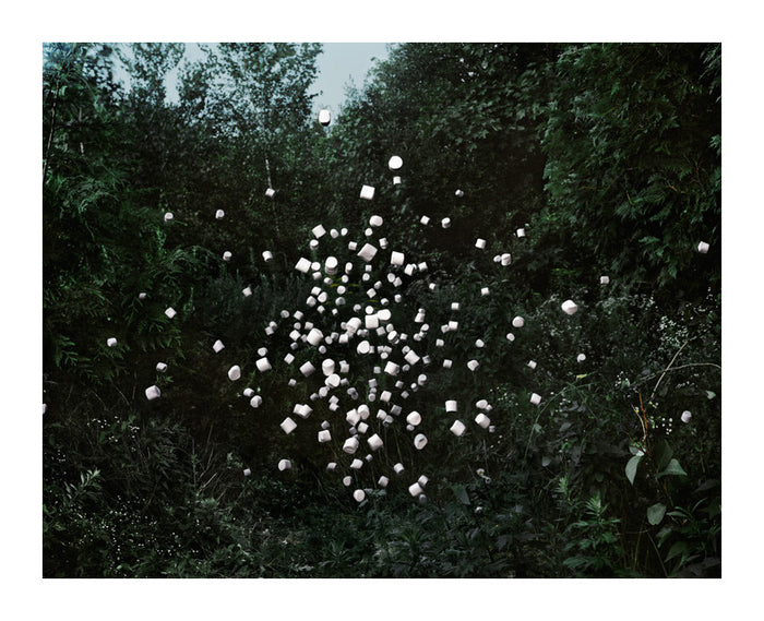 Marshmallows #1 Inkjet Pigment Print thomas Jackson the nature photography environmentalist art staged photography floating objects personification 