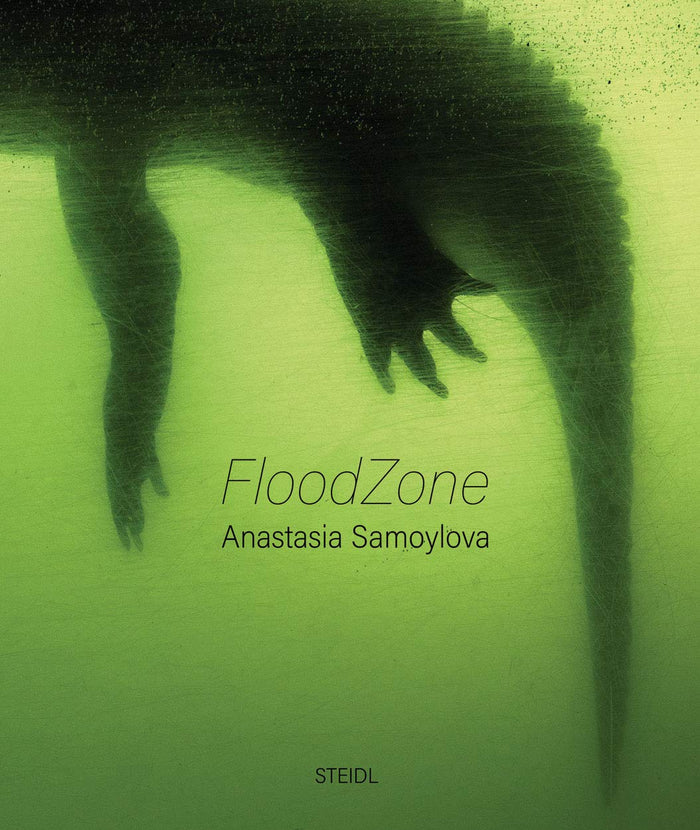 FloodZone