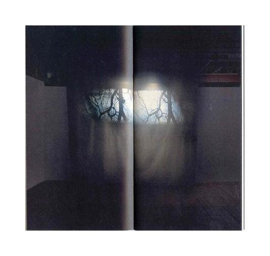 Sun Pictures & Other Broken Images, Richard Torchia